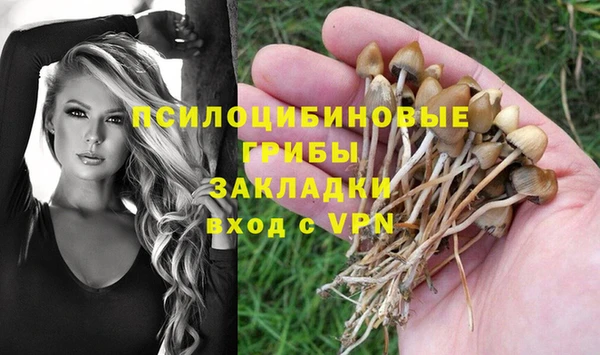 спиды Баксан
